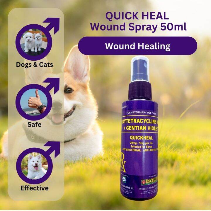 QUICK HEAL Wound Spray 50ml | Lazada PH