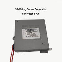 Home Water Ozonator For Aquarium Air And Water Ozonator For Spa 50~100mg Ozone Water Dispenser FQ-160