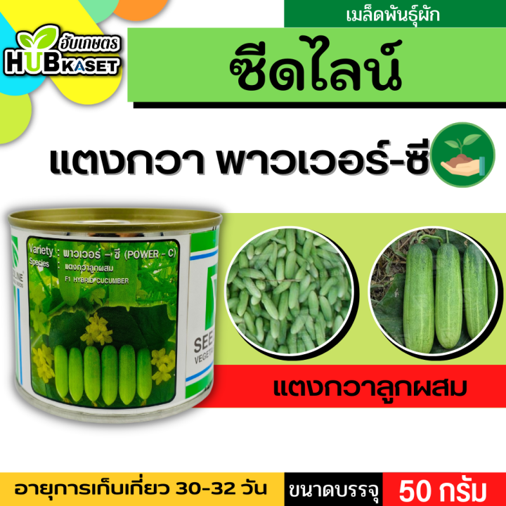 ซีดไลน์ 🇹🇭 แตงกวาลูกผสม พาวเวอร์-ซี ขนาดบรรจุ 50กรัม/กระป๋อง อายุเก็บเกี่ยว 30-32 วัน