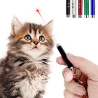 TEXFunny Cat Chaser Pointer Toy Pen with Cat Chasing Supplies Green LED Pen Light Visible Beam Keychain Keyring Mini Flashlight