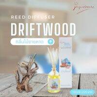 Reed diffuser | Driftwood กลิ่นไม้ชายหาด