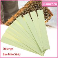 II-AURORA นักฆ่าวาริกาไร20ชิ้น/แพ็คเครื่องมือจีบไฮฟ์ Acaricide Strip Bee Mite Strip