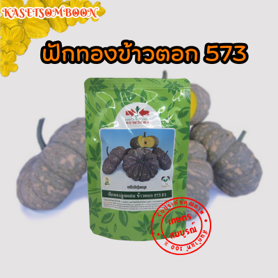 ฟักทองข้าวตอก573 เมล็ดพันธุ์ 100 ก. ตราศรแดง เหนียว มัน หนัก 2.5-3.5 กก.