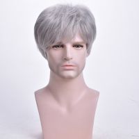 MSIWIGS Short Silver Grey Wig Mens Synthetic Hair Old People Wigs Straight for the aged White Color Gift ของขวัญ