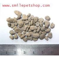 ?ส่งด่วน? Pumice Stone เม็ดเล็ก 800 g. (หินภูเขาไฟสำหรับปูพื้นตู้ หรือใช้เป็นวัสดุกรอง มีรูพรุนสูง)  KM11.3183!!ราคาถูกที่สุด!!