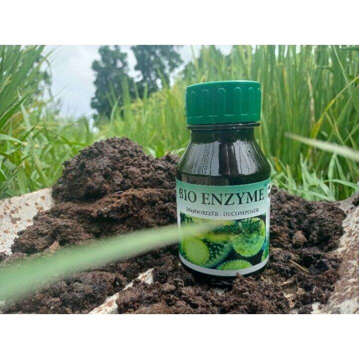 Bio Enzyme 1 Bottle Lazada PH