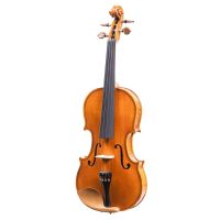 ไวโอลิน Paganini Lorenzo Violin รุ่น m300