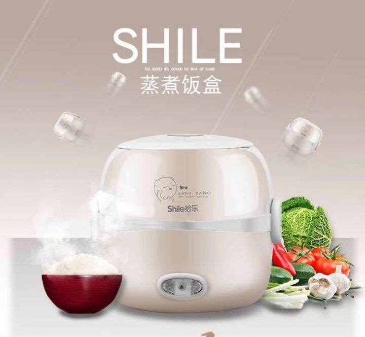 MINI Rice Cooker Thermal Heating Electric Lunch Box 2 Layers Portable