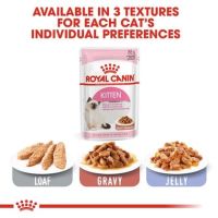 ROYAL CANIN POUCHชนิดเปียกลูกแมว85g.X12ซอง239บาท