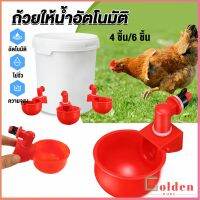 Golden ถ้วยให้น้ำอัตโนมัติ สำหรับไก่ 4 ชิ้น 6 ชิ้น Automatic drinker