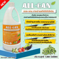 ปุ๋ยน้ำตระกูลมะเขือ1000ML.ดอกดก ติดลูกดี ขั้วเหนียว ลดดอกร่วง ผลไม่แตก ALL GAN สาหร่ายสกัดไซโตไคนิน บำรุงราก กระตุ้นการเจริญเติบโต