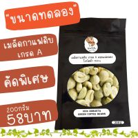 กาแฟสาร เมล็ดกาแฟดิบ คัดคุณภาพ เกรดA กาแฟเชียงราย โรบัสต้า 100% Dry Process Green Coffee Beans ขนาดทดลอง 200กรัม คั่วแล้วหอมสุดๆ