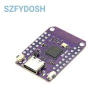 S2 Mini V1.0.0 WIFI IOT Board based ESP32-S2FN4R2 ESP32-S2 4MB FLASH 2MB PSRAM Compatible with Arduino  MicroPython