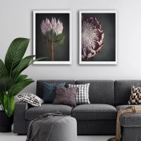 Pink Protea Flowers Nordic Photography Poster Floral Canvas Painting and Prints Modern Wall Art Pictures Living Room Home Decor