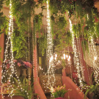 2เมตร DIY ไฟ LED เชือกสหภาพยุโรป220โวลต์ลวดทองแดงพวงมาลัย Vines นางฟ้าไฟ LED เชือกสวนคริสต์มาสตกแต่งสำหรับกลางแจ้ง