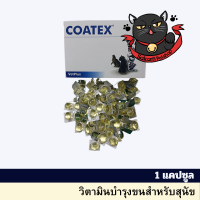 Coatex Dogs Cats Skin &amp; Coat 15 caps อาหารเสริม บำรุงเส้นขนและผิวหนัง แบบเม็ด สุนัข แมว บรรจุ 1 เม็ด