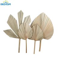 Dried Palm Leaves Arrangement Dried Palm Leaves Wall Decor - Leaves Dried Natural - Aliexpress