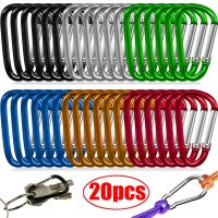 20pcs Keychain Alluminum Alloy D-ring Buckle Clip Keychains Outdoor Camping Use