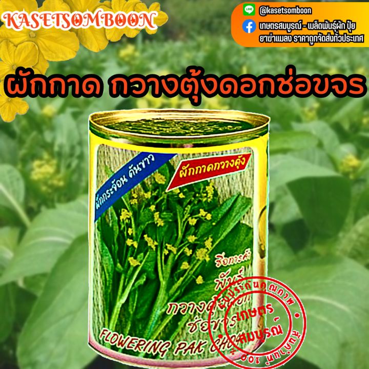 กวางตุ้งดอก-เมล็ดพันธุ์ผักกาดกวางตุ้ง-ดอกช่อขจร-80-ก-ตราต้นไผ่