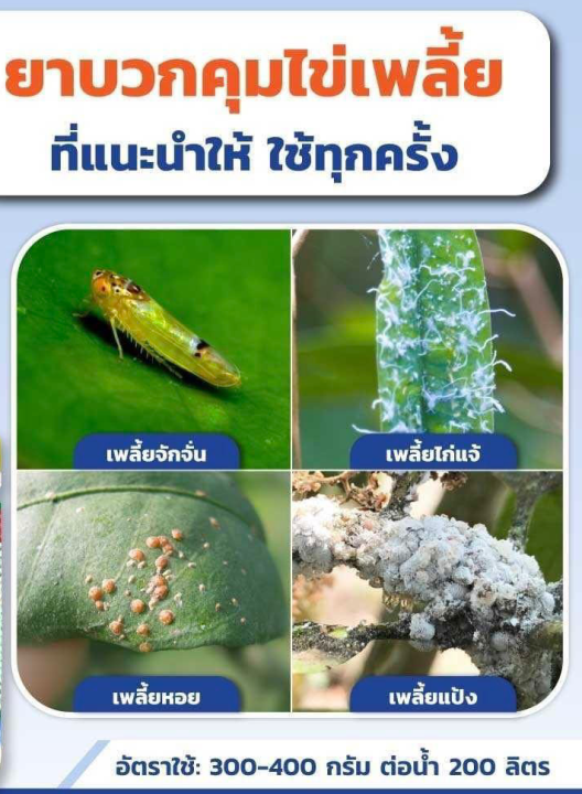 ลาดู-ขนาด1กก-บูโพรเฟซิน-ยาแมลง-สารป้องกันกำจัดแมลง-เพลี้ยกระโดดสีน้ำตาล-เพลี้ยอ่อน-แมลงหวี่ขาว-คุมไข่-ยับยั้งการลอกคาบ