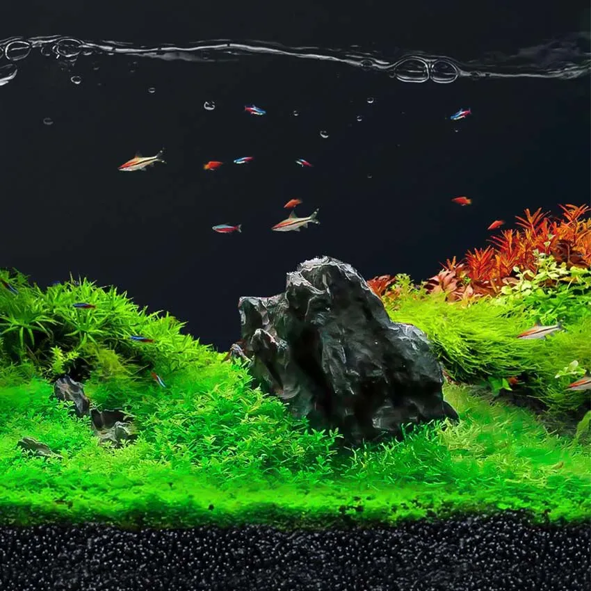 Nepall Aqua Soil Planted Aquarium Substrate | Fish Tank Water Grass Mud for  Natural Aquatic Plants and Shrimps | No Cloudiness | Clear Water | Rich