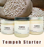 ผงเทมเป้ เชื้อเทมเป้ l Tempeh Rhizopus Oligosporus ของแท้ รับประกันการเกิดกระบวนการหมักภายใน 24 ชั่วโมง หัวเชื้อเทมเป้ ใช้สำหรับทำเทมเป้ พร้อมส่ง