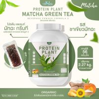 โปรตีนแพลนท์ สูตร 2 รสมัทฉะ ชาเขียว (PROTEIN PLANT MATCHA GREEN TEA) โปรตีนจากพืช 5 ชนิด ออเเกรนิค (ปริมาณ 2.27kg. ขนาด 5 ปอนด์ 5LBS ) เเถมฟรีไข่มุกบุก 56 ซอง