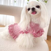 Summer Dog Skirt Short Type Pet Dress Cat Yorkshire Chihuahua Clothing Puppy Costume Apparel Small Dog Clothes Tutu Dropshipping Dresses