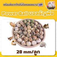 [HiHamster] Power Ball ลูกบอลธัญพืช ขนมหนูแฮมสเตอร์ กระรอกกระต่าย เม่นสัตว์เลี้ยงขนาดเล็กฟันแทะ