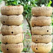 Hàng đẹp Set 10 Gáo dừa miệng sen TRỒNG LAN CÂY NHỎ Coconut planter set