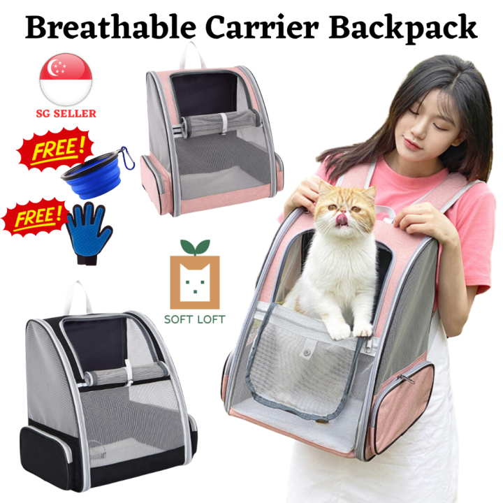 Lazada store cat carrier