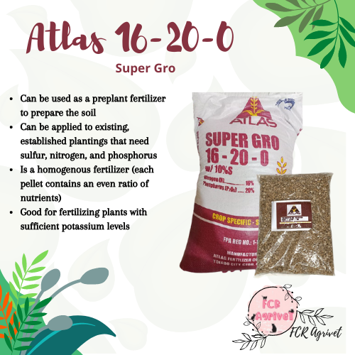 fcr-agrivet-2kgs-atlas-super-gro-16-20-0-fertilizer-pataba-sa