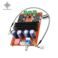 2*100W D2 Tpa3116ช่องดิจิตอลแบบคู่บอร์ดเครื่องขยายเสียง12V-24V สำหรับ Arduino Tpa3116d2สองช่องโมดูล100w100w