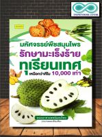 หนังสือสุขภาพ มหัศจรรย์พืชสมุนไพรรักษามะเร็งร้าย ทุเรียนเทศ เหนือกว่าคีโม 10,000 เท่า : พืชสมุนไพร การรักษาโรค โรคมะเร็ง (Infinitybook Center)