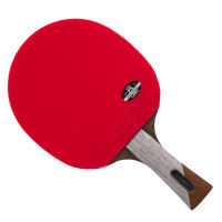 6 Star Professional Table Tennis Racket Carbon Blade PingPong Bat Comition Ping Pong Paddle for Fast Attack and Arc