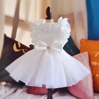 lace Skirt Pet Clothing Dog White Wedding Dress Dog Clothes Small Costume French Bulldog Cute Spring Summer Girl Collar Perro Dresses