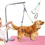 BENEDICT Đai Chống Ngồi Cho Mèo Cái Kẹp Bàn Dây Xích Giữ Vòng Dụng Cụ Chải