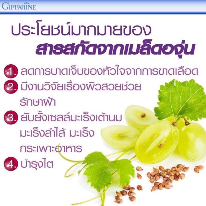 สารสกัดเมล็ดองุ่นแดง-สารสกัดจากเมล็ดองุ่น-เมล็ดองุ่นสกัดแคปซูล-เมล็ดองุ่นสกัด-เกรป-ซี-อี-nbsp-เกรปซีด-grape-seed-ฝ้า-กระ-จุดด่างดำ-กิฟฟ-ของแท้