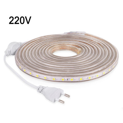 LED Strip Light Flexible Neon Strip Waterproof Diode Tape 220V SMD5050 60LEDsm LEDstrip Decorative LED Ribbon With EU Plug