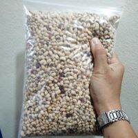 (1​ Kg)​ เมล็ดดิบ​ ถั่วขาว​ : Navy Bean