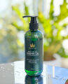 เจลอาบน้ำ เฮมพ์ ซีด ออยล์ ชาวเวอร์ เจล (HEMP SEED OIL SHOWER GEL). 