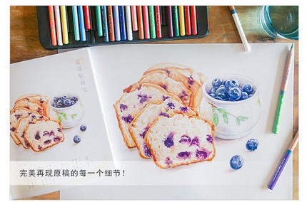 color-pencil-drawing-book-32-classic-delicious-food-pencil-painting-textbook-students-tutorial-art-book