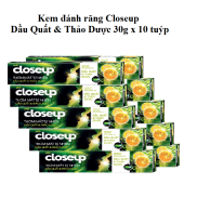 10 Tuýp Kem đánh răng Closeup Dầu Quất & Thảo Dược 30g tuýp Cho Răng Trắng