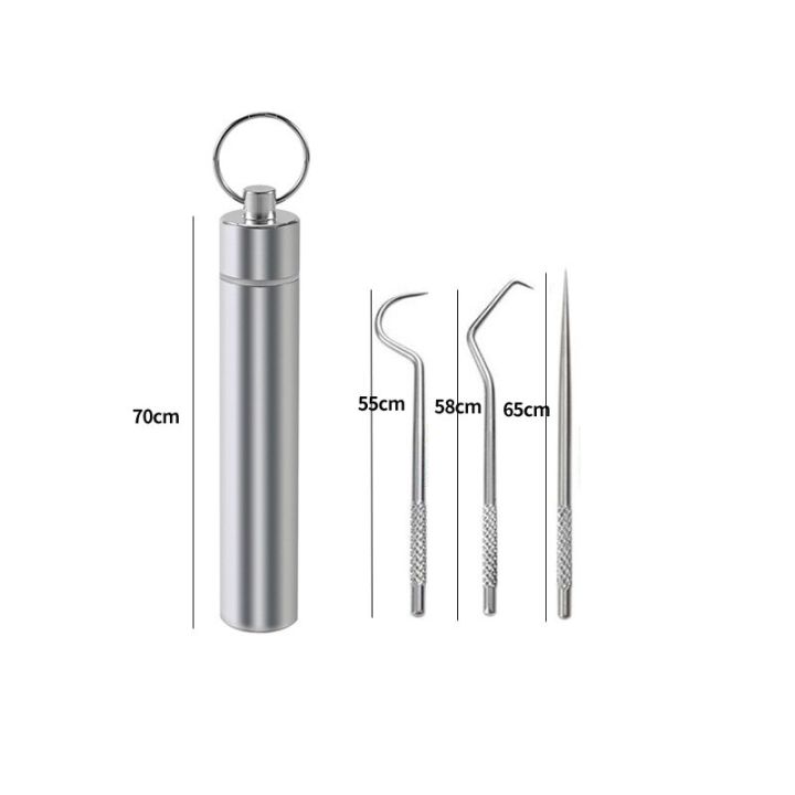 portable-dental-tools-set-flossing-tooth-picking-tool-430-stainless-steel-spiral-ear-pick-spoon-kit-oral-hygiene-tartar-removal