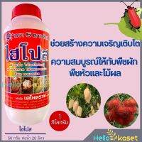 ไฮโปส 1กิโลกรัม สูตร 10-4-36 สร้างเนื้อ ให้ผลโตใหญ่ สร้างน้ำตาล ให้รสหวานมัน สร้างสีสัน ให้สดใสสร้างผลใหญ่ พร้อมคุณภาพ