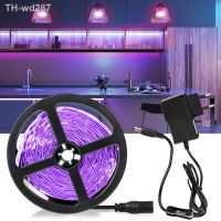 UV LED Strip Flexible 12V 2835 SMD Ribbon Purple Tape Ultraviolet Lamp 385-400nm Black Light for DJ Fluorescence Party Pet Clean