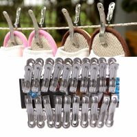 20 Pcs Stainless Steel Clothes Pegs Hanging Pins Laundry Windproof Clips Clothes Hangers Pegs