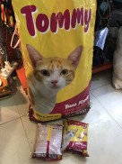 Thức ăn hạt cho mèo mọi lứa tuổi Tommy vị cá ngừ gói 500g-Petsviet