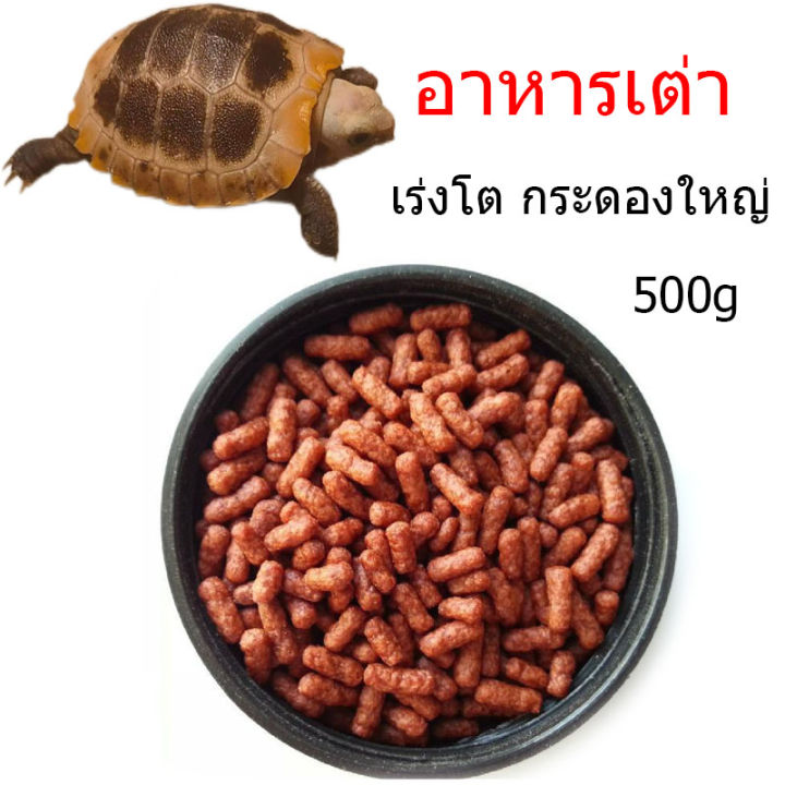 อาหารเต่า-ออาหารเต่าอาหารสำหรับเต่าน้ำทุกสายพันธุ์-เร่งโต-กระดองใหญ่-ไม่ทำให้น้ำขุ่นเสีย-น้ำหนัก-500g-1kg