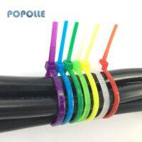 6 Colors Plastic Nylon Self-locking Cable Tie  Self-locking Nylon Cable 3*100mm 4*200mm Fixed Belt Storage Belt 100pc Cable Management